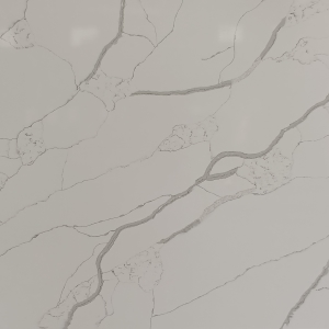 Calacatta Classic #5