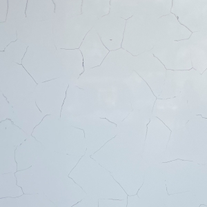 Bianca Cararra QH107